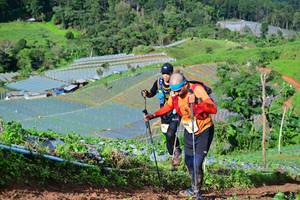 BIB: 
                            <button type="button" onclick="openModal(13380906)" class="btn btn-primary btn-sm float-right btn-popup" data-toggle="modal" data-target=".modal-high-quality">
                        <i class="fas fa-shopping-cart"></i> Add to Cart
                    </button>
                                            <button type="button" onclick="isThisMe(13380906, true)" class="btn btn-success btn-sm float-right btn-popup btn-isme hidden" data-toggle="tooltip" data-placement="bottom" title="นี่คือรูปของคุณใช่ไหม คลิกที่นี่เพื่อเอาเข้าอัลบั้ม">
                        <i class="fas fa-plus"></i> Add to album
                    </button>
                    <button type="button" onclick="isThisMe(13380906, false)" class="btn btn-warning btn-sm float-right btn-popup btn-isnotme hidden">
                        <i class="fas fa-ban"></i> Remove from album
                    </button>